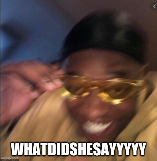 lol | WHATDIDSHESAYYYYY | image tagged in lol so funny | made w/ Imgflip meme maker