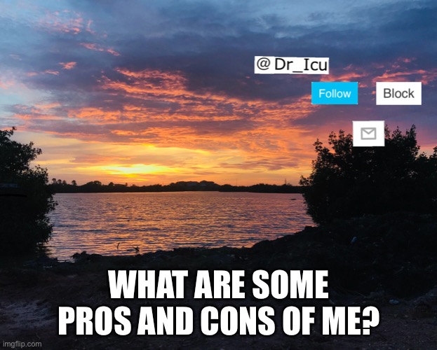 Give me some | WHAT ARE SOME PROS AND CONS OF ME? | image tagged in lol | made w/ Imgflip meme maker
