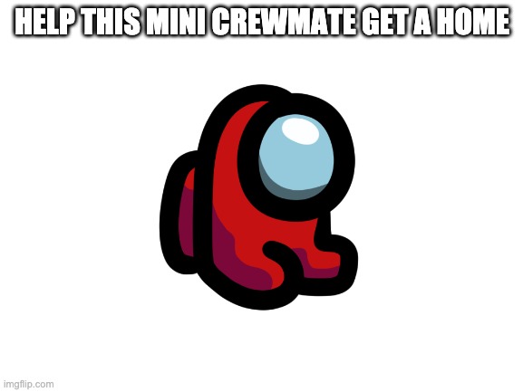 pls help him | HELP THIS MINI CREWMATE GET A HOME | image tagged in blank white template | made w/ Imgflip meme maker