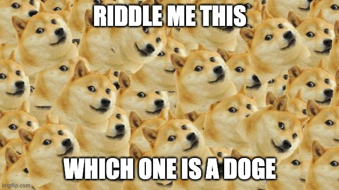 WhIch oNe DogE?????? |  RIDDLE ME THIS; WHICH ONE IS A DOGE | image tagged in memes,multi doge,doge,riddle me this | made w/ Imgflip meme maker