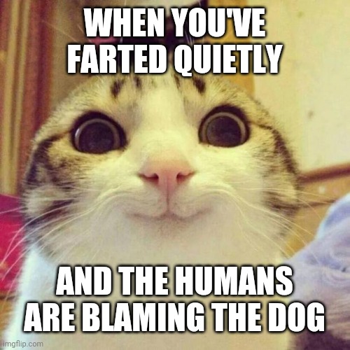 Smiling Cat Meme | WHEN YOU'VE FARTED QUIETLY; AND THE HUMANS ARE BLAMING THE DOG | image tagged in memes,smiling cat | made w/ Imgflip meme maker