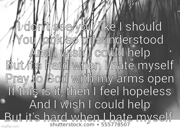 I don't see you like I should
You look so misunderstood
And I wish I could help
But it's hard when I hate myself
Pray to God with my arms open
If this is it, then I feel hopeless
And I wish I could help
But it's hard when I hate myself | made w/ Imgflip meme maker
