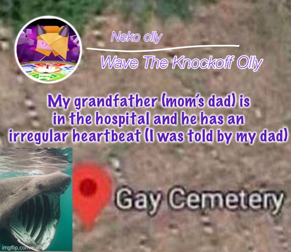 My mom and grandma are going to the hospital rn | My grandfather (mom’s dad) is in the hospital and he has an irregular heartbeat (I was told by my dad) | image tagged in hehsniahajwusnwjsnana | made w/ Imgflip meme maker