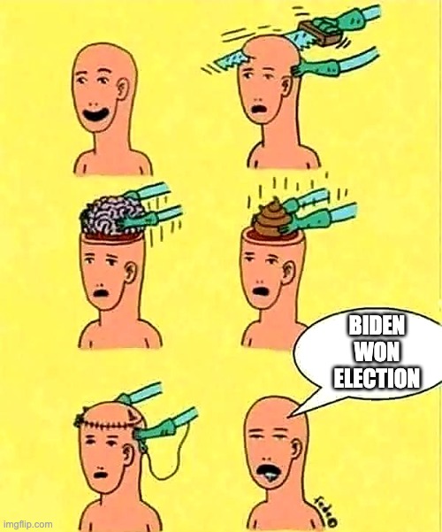 Poop for brains | BIDEN
WON
ELECTION | image tagged in brainless,joe biden,letsgetwordy,election 2020 | made w/ Imgflip meme maker