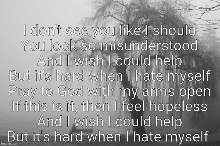 I don't see you like I should
You look so misunderstood
And I wish I could help
But it's hard when I hate myself
Pray to God with my arms open
If this is it, then I feel hopeless
And I wish I could help
But it's hard when I hate myself | made w/ Imgflip meme maker