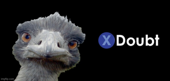 Emu Doubt | image tagged in emu doubt | made w/ Imgflip meme maker