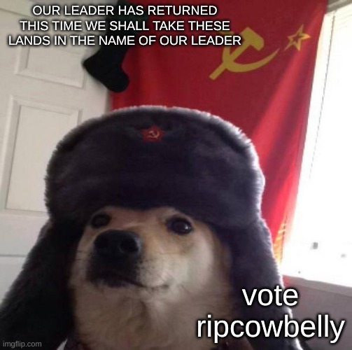 Russian Doge | OUR LEADER HAS RETURNED THIS TIME WE SHALL TAKE THESE LANDS IN THE NAME OF OUR LEADER vote ripcowbelly | image tagged in russian doge | made w/ Imgflip meme maker