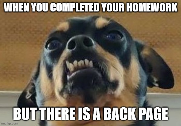 homework :/ | WHEN YOU COMPLETED YOUR HOMEWORK; BUT THERE IS A BACK PAGE | image tagged in homework,smeagol,funny dog memes | made w/ Imgflip meme maker