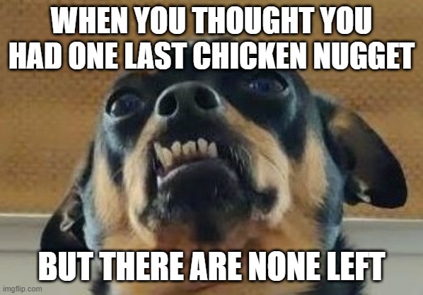 NOOOOOOO CHIMKEN NUGGIES | WHEN YOU THOUGHT YOU HAD ONE LAST CHICKEN NUGGET; BUT THERE ARE NONE LEFT | image tagged in dog,doggo,funny dog memes | made w/ Imgflip meme maker