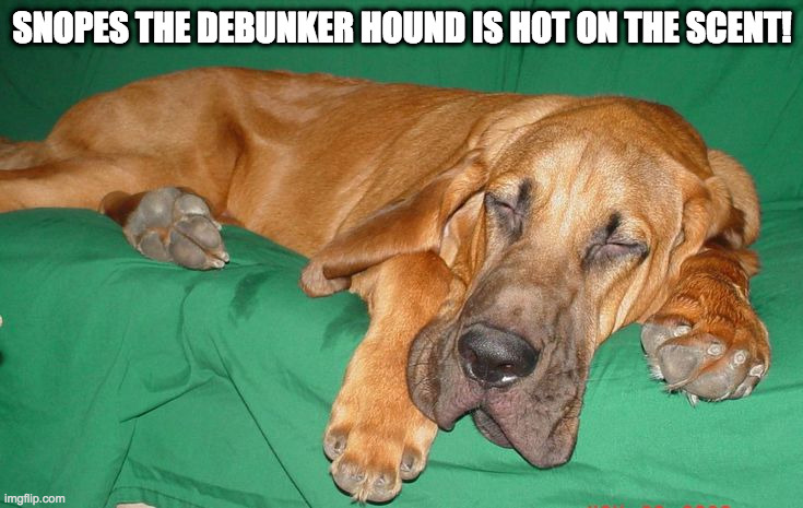 SNOPES THE DEBUNKER HOUND IS HOT ON THE SCENT! | made w/ Imgflip meme maker