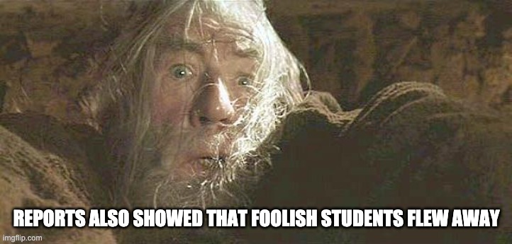 Gandalf Fly You Fools | REPORTS ALSO SHOWED THAT FOOLISH STUDENTS FLEW AWAY | image tagged in gandalf fly you fools | made w/ Imgflip meme maker