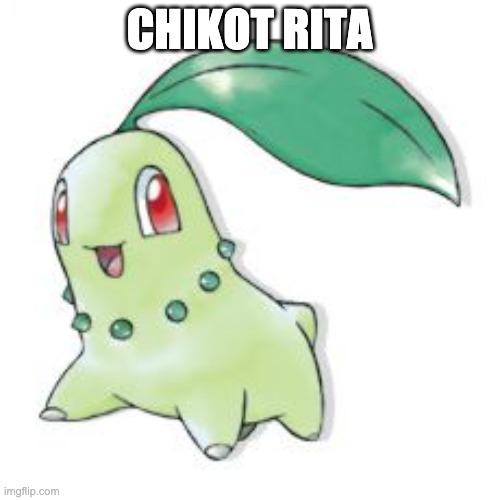 Chikorita | CHIKOT RITA | image tagged in chikorita | made w/ Imgflip meme maker