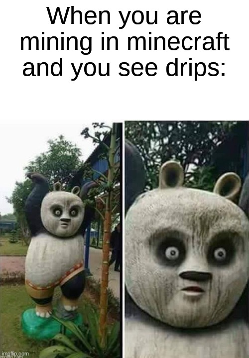 Kung fu OH NO | When you are mining in minecraft and you see drips: | image tagged in kung fu oh no,minecraft,kung fu panda,memes | made w/ Imgflip meme maker