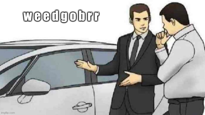 Car Salesman Slaps Roof Of Car | w e e d g o b r r | image tagged in memes,car salesman slaps roof of car | made w/ Imgflip meme maker