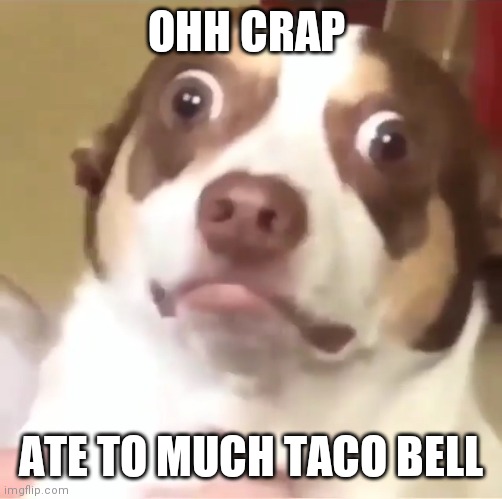 Bad Dog Caught | OHH CRAP; ATE TO MUCH TACO BELL | image tagged in bad dog caught | made w/ Imgflip meme maker