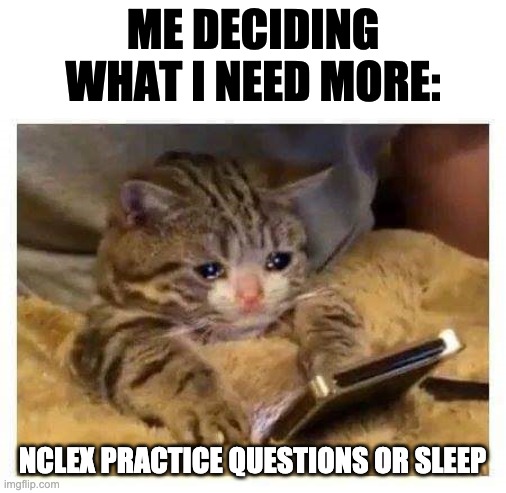 Crying Cat | ME DECIDING WHAT I NEED MORE:; NCLEX PRACTICE QUESTIONS OR SLEEP | image tagged in crying cat | made w/ Imgflip meme maker