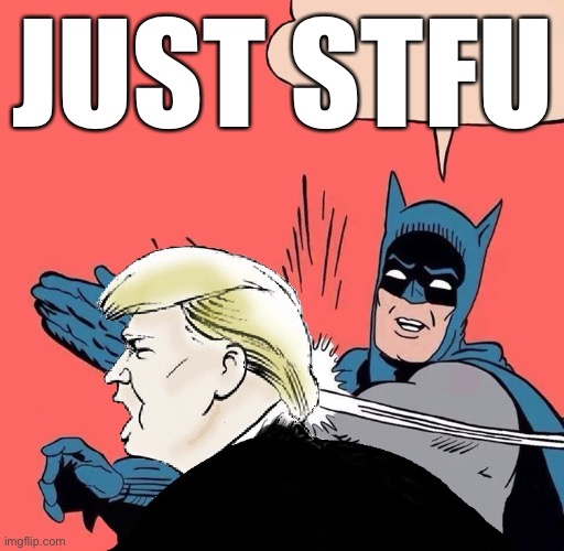 Batman slaps Trump | JUST STFU | image tagged in batman slaps trump | made w/ Imgflip meme maker