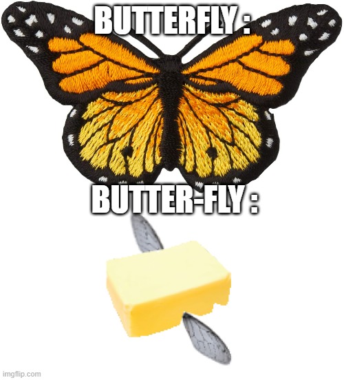 Butter-fly | BUTTERFLY :; BUTTER-FLY : | image tagged in butterfly,butter,fly | made w/ Imgflip meme maker