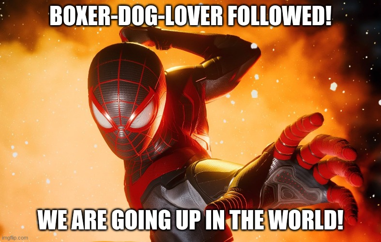 35th follower | BOXER-DOG-LOVER FOLLOWED! WE ARE GOING UP IN THE WORLD! | made w/ Imgflip meme maker