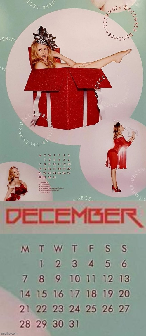 [You know what that means: Just 31 days till the end of 2020] | image tagged in kylie december,december,calendar,month,2020,pretty woman | made w/ Imgflip meme maker
