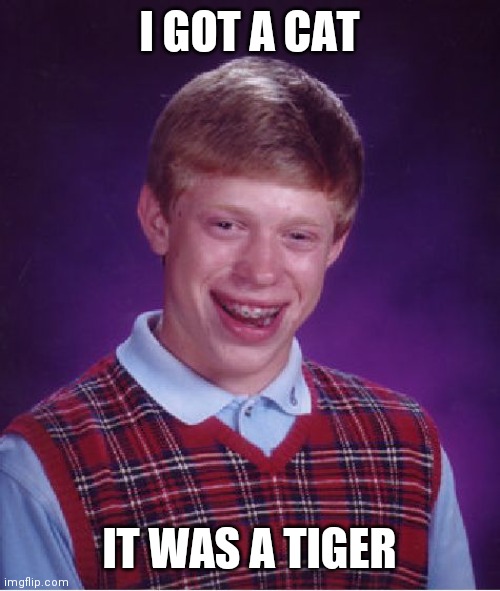 Bad Luck Brian | I GOT A CAT; IT WAS A TIGER | image tagged in memes,bad luck brian | made w/ Imgflip meme maker
