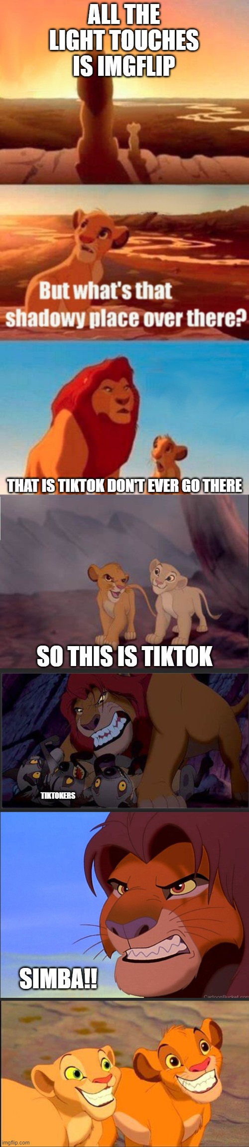 extended Simba shadowy place | ALL THE LIGHT TOUCHES IS IMGFLIP; THAT IS TIKTOK DON'T EVER GO THERE; SO THIS IS TIKTOK; TIKTOKERS; SIMBA!! | image tagged in memes,simba shadowy place | made w/ Imgflip meme maker