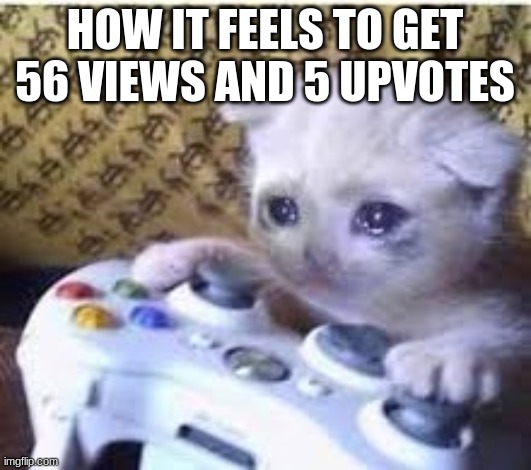 THe same | HOW IT FEELS TO GET 56 VIEWS AND 5 UPVOTES | image tagged in funny | made w/ Imgflip meme maker