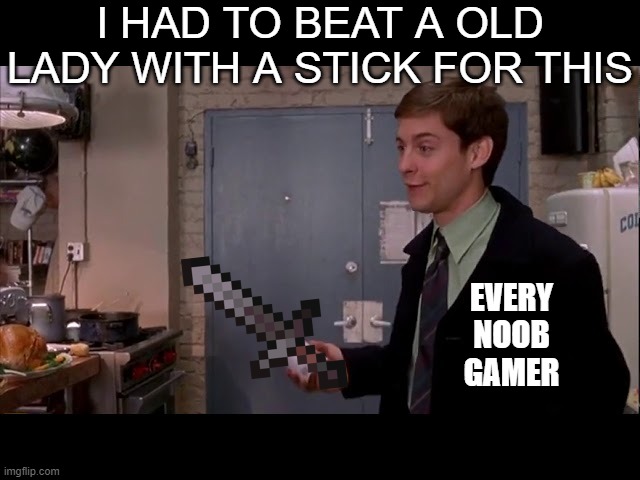 You what | I HAD TO BEAT A OLD LADY WITH A STICK FOR THIS; EVERY NOOB GAMER | image tagged in spiderman | made w/ Imgflip meme maker