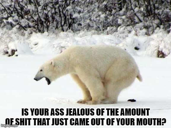Polar Bear Shits in the Snow | IS YOUR ASS JEALOUS OF THE AMOUNT OF SHIT THAT JUST CAME OUT OF YOUR MOUTH? | image tagged in polar bear shits in the snow | made w/ Imgflip meme maker