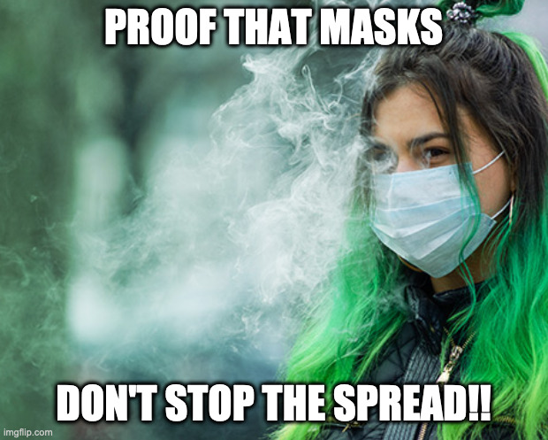 masks dont do anything | PROOF THAT MASKS; DON'T STOP THE SPREAD!! | image tagged in face mask | made w/ Imgflip meme maker