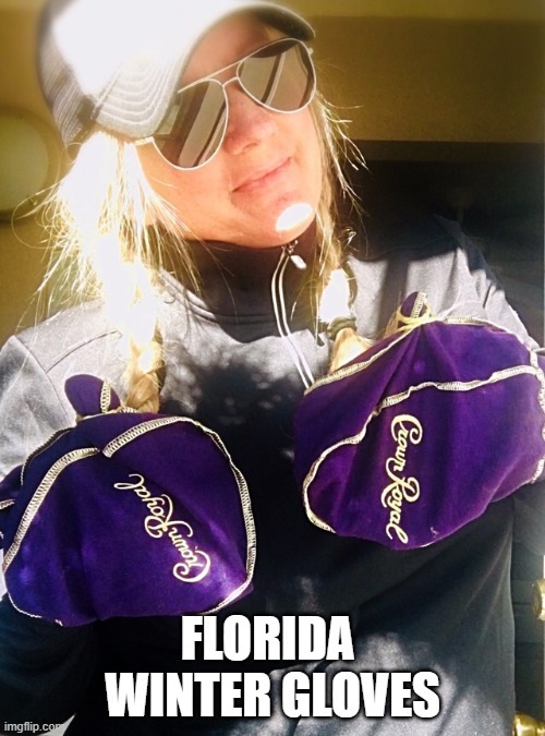 Cold in Florida | FLORIDA  WINTER GLOVES | image tagged in florida winter | made w/ Imgflip meme maker