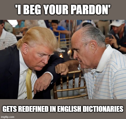When old phrases require encyclopedia updates | 'I BEG YOUR PARDON'; GETS REDEFINED IN ENGLISH DICTIONARIES | image tagged in trump,election 2020,voter fraud,loser,scammers,giuliani | made w/ Imgflip meme maker