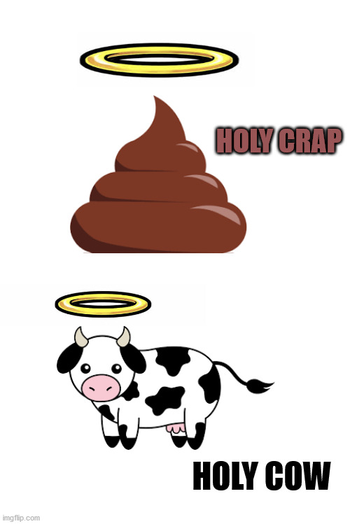 HOLY!!!!!!!!!!!!!!!!!!!!!!!!!!!! | HOLY CRAP; HOLY COW | image tagged in blank white template | made w/ Imgflip meme maker