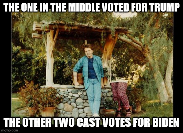 back to the future disappearing photo | THE ONE IN THE MIDDLE VOTED FOR TRUMP; THE OTHER TWO CAST VOTES FOR BIDEN | image tagged in back to the future disappearing photo | made w/ Imgflip meme maker