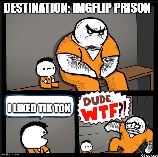 Yeah. "WTF, DUDE?!" would be enough to describe it. | DESTINATION: IMGFLIP PRISON; I LIKED TIK TOK | image tagged in srgrafo dude wtf,tik tok sucks | made w/ Imgflip meme maker