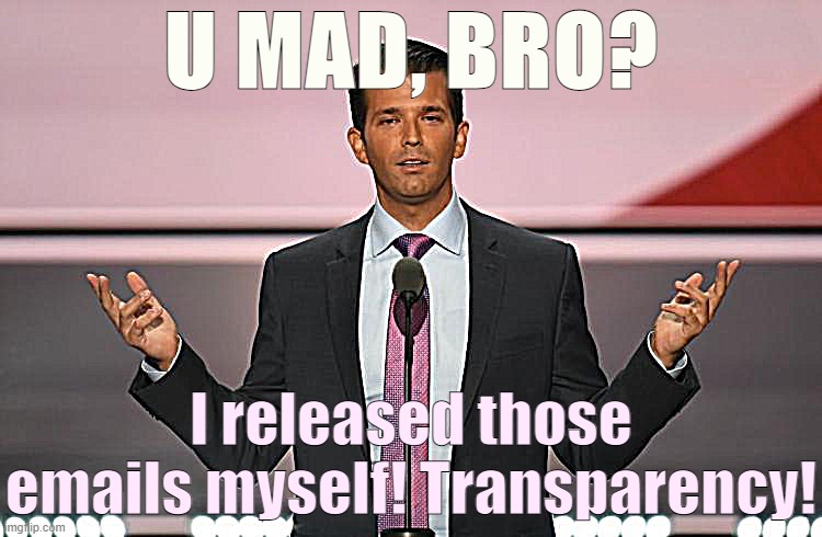 When they say the incriminating emails DJT, Jr. himself tweeted are fake. | U MAD, BRO? I released those emails myself! Transparency! | image tagged in donald trump jr | made w/ Imgflip meme maker