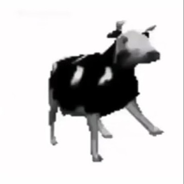 dancing polish cow Blank Meme Template