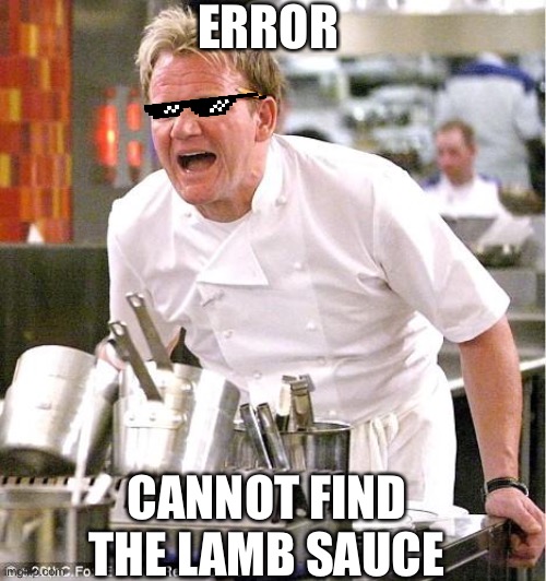 Chef Gordon Ramsay Meme | ERROR; CANNOT FIND THE LAMB SAUCE | image tagged in memes,chef gordon ramsay | made w/ Imgflip meme maker