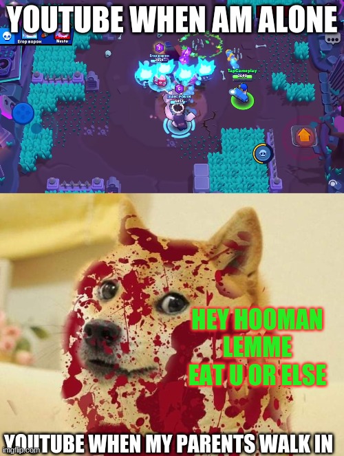 I agree with this meme I made | YOUTUBE WHEN AM ALONE; HEY HOOMAN LEMME EAT U OR ELSE; YOUTUBE WHEN MY PARENTS WALK IN | image tagged in bloody doge,brawlstars,tap gameplay,when my parents walk in | made w/ Imgflip meme maker