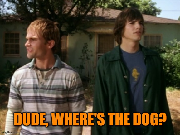 dude wheres my car | DUDE, WHERE'S THE DOG? | image tagged in dude wheres my car | made w/ Imgflip meme maker