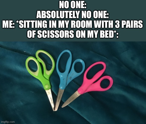 THEYRE FOR PAPER CALM DOWN | NO ONE:
ABSOLUTELY NO ONE:
ME: *SITTING IN MY ROOM WITH 3 PAIRS OF SCISSORS ON MY BED*: | made w/ Imgflip meme maker