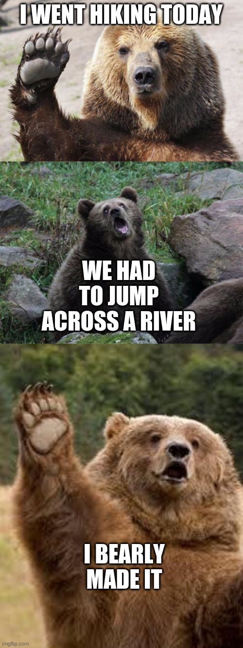 Bad Pun Bear | I WENT HIKING TODAY WE HAD TO JUMP ACROSS A RIVER I BEARLY MADE IT | image tagged in bad pun bear | made w/ Imgflip meme maker