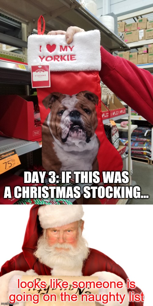 Christmas Day 3 | DAY 3: IF THIS WAS A CHRISTMAS STOCKING... | image tagged in looks like someone is going on the naughty list,funny,memes,christmas,you had one job,task failed successfully | made w/ Imgflip meme maker