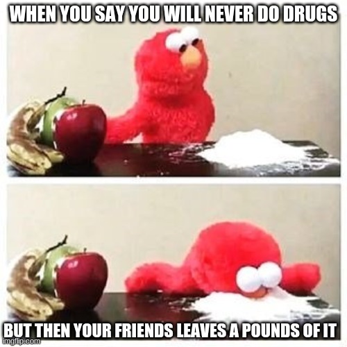 elmo cocaine | WHEN YOU SAY YOU WILL NEVER DO DRUGS; BUT THEN YOUR FRIENDS LEAVES A POUNDS OF IT | image tagged in elmo cocaine | made w/ Imgflip meme maker