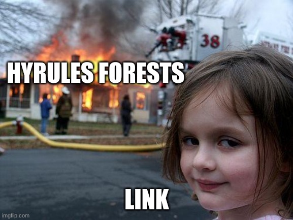 Disaster Girl | HYRULES FORESTS; LINK | image tagged in memes,disaster girl | made w/ Imgflip meme maker