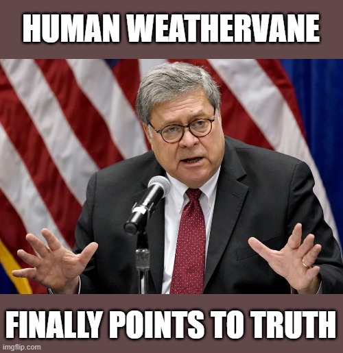 DOJ sychophant jumps from sinking ship declaring "No evidence of massive fraud" | HUMAN WEATHERVANE; FINALLY POINTS TO TRUTH | image tagged in trump,election 2020,voter fraud,loser,gop scams | made w/ Imgflip meme maker