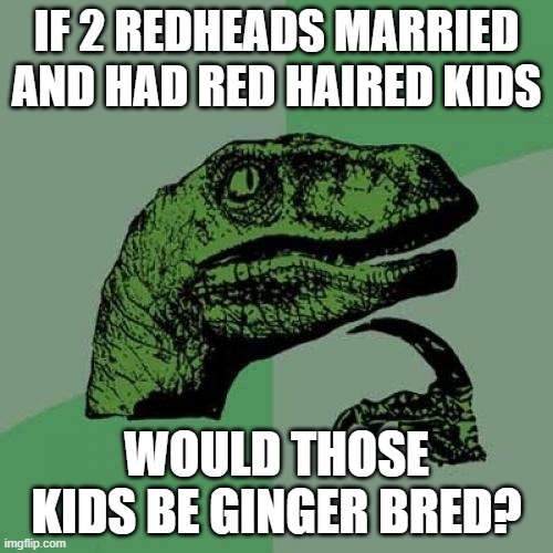 They're the soulless breed |  IF 2 REDHEADS MARRIED AND HAD RED HAIRED KIDS; WOULD THOSE KIDS BE GINGER BRED? | image tagged in memes,philosoraptor,redheads,gingers | made w/ Imgflip meme maker