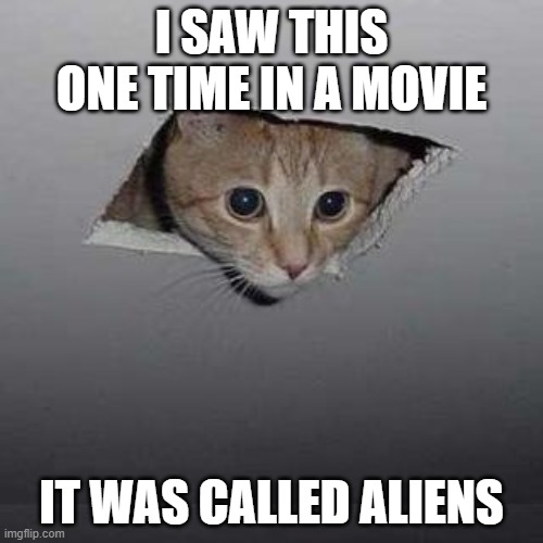 Ceiling Cat | I SAW THIS ONE TIME IN A MOVIE; IT WAS CALLED ALIENS | image tagged in memes,ceiling cat | made w/ Imgflip meme maker