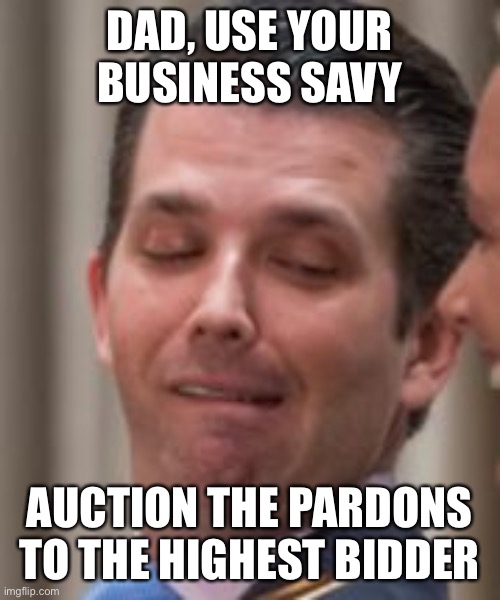 Donald Trump Jr Face | DAD, USE YOUR BUSINESS SAVVY AUCTION THE PARDONS TO THE HIGHEST BIDDER | image tagged in donald trump jr face | made w/ Imgflip meme maker
