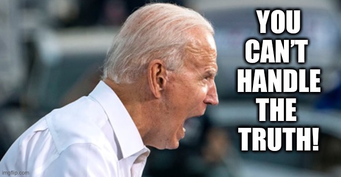 Biden scream | YOU
CAN’T 
HANDLE
THE 
TRUTH! | image tagged in biden scream | made w/ Imgflip meme maker